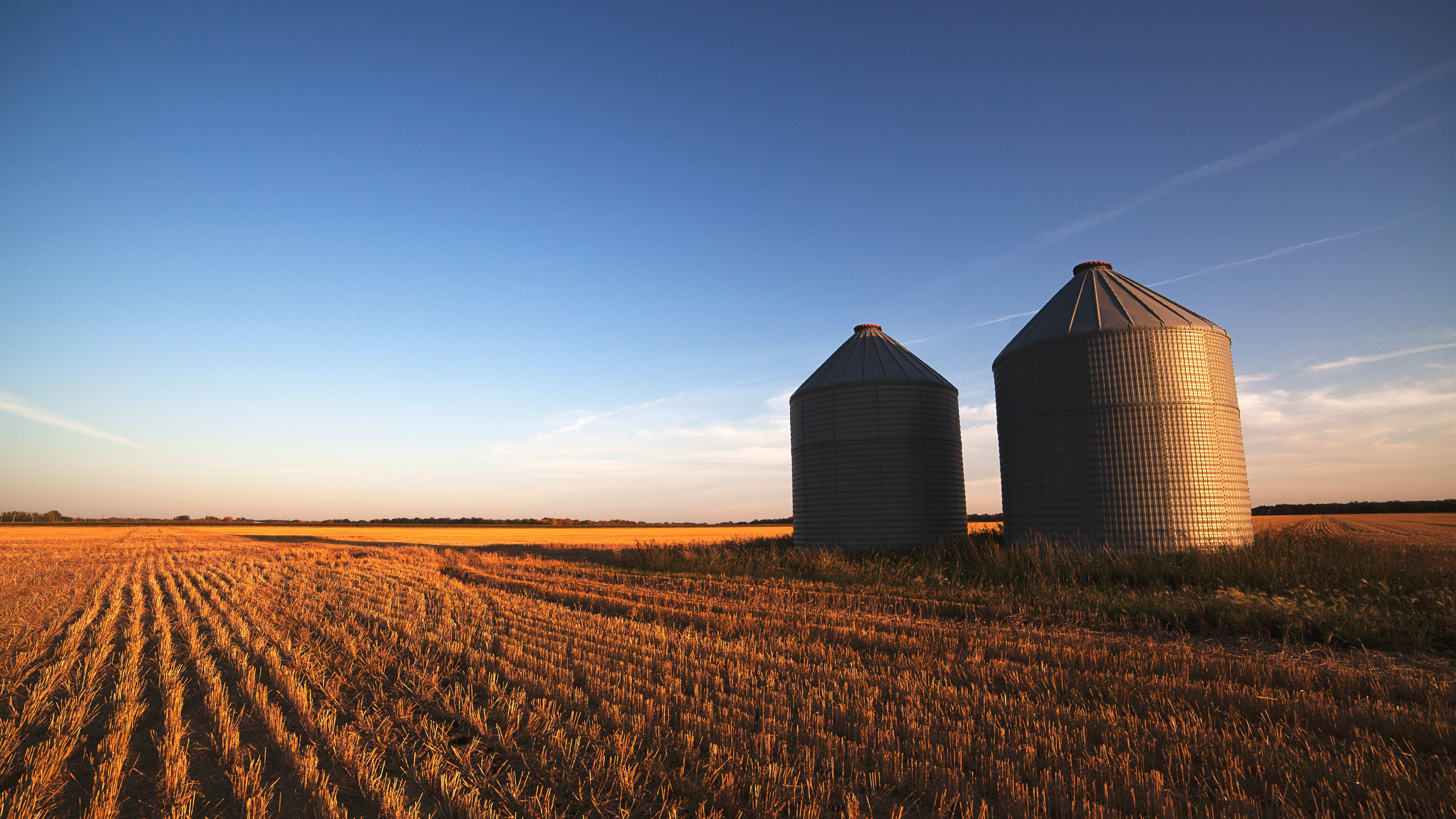 Grain_Silos_stock_f3kili.jpg